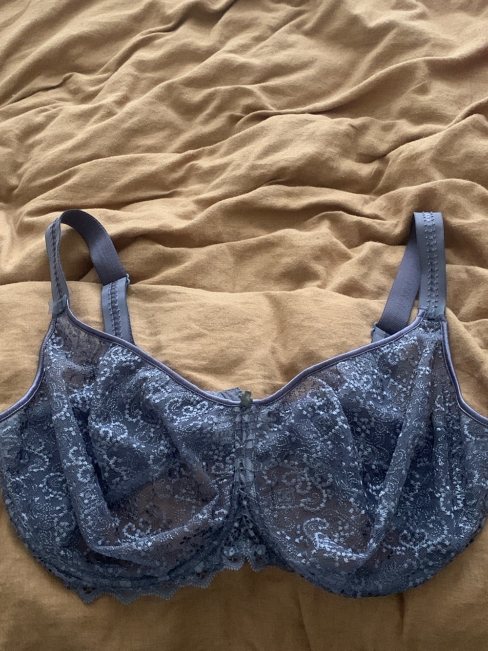Empreinte Sheer Lace Underwire Bra Gray 36G